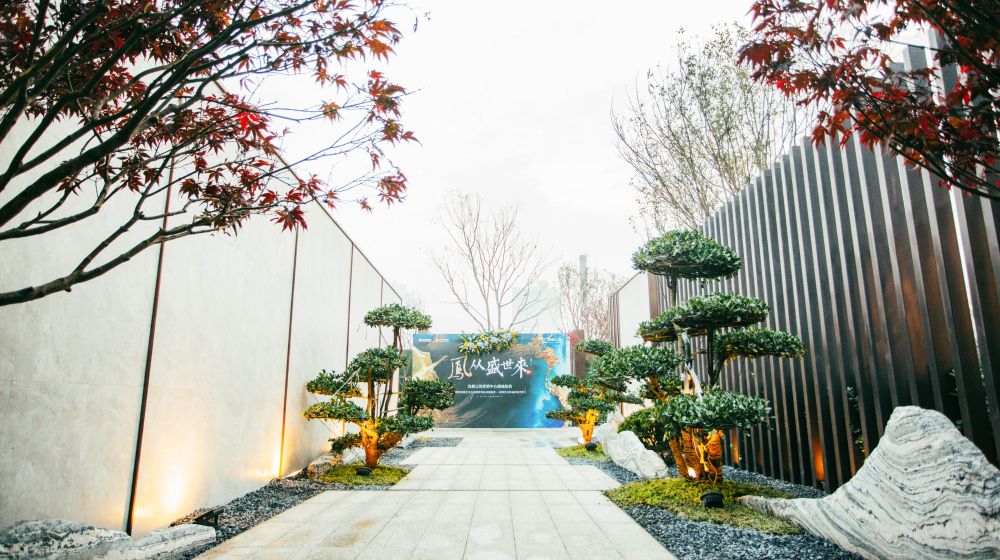 1574822668456661.jpg 02.jpg